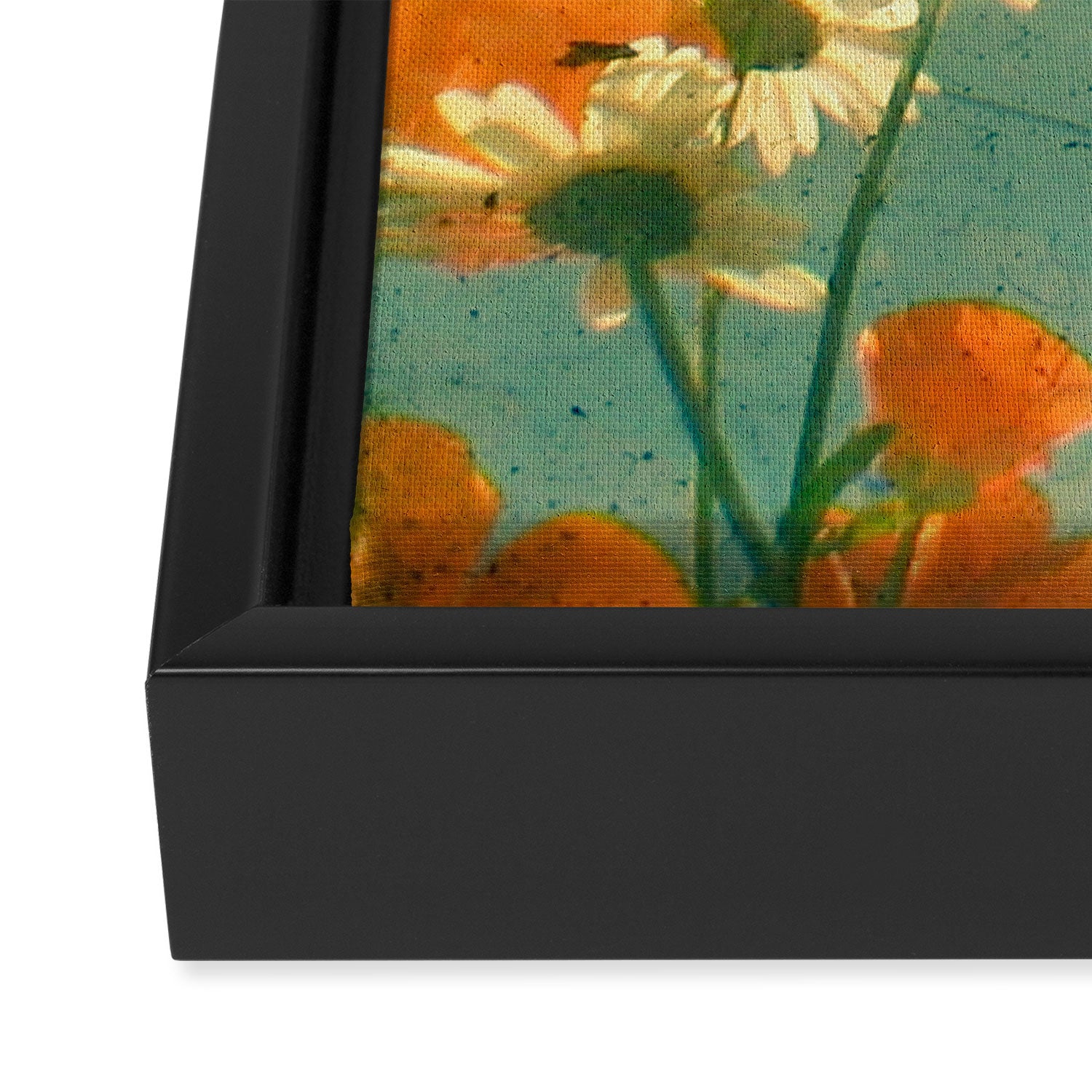 Daisy Framed Canvas Print Gallery Image 3