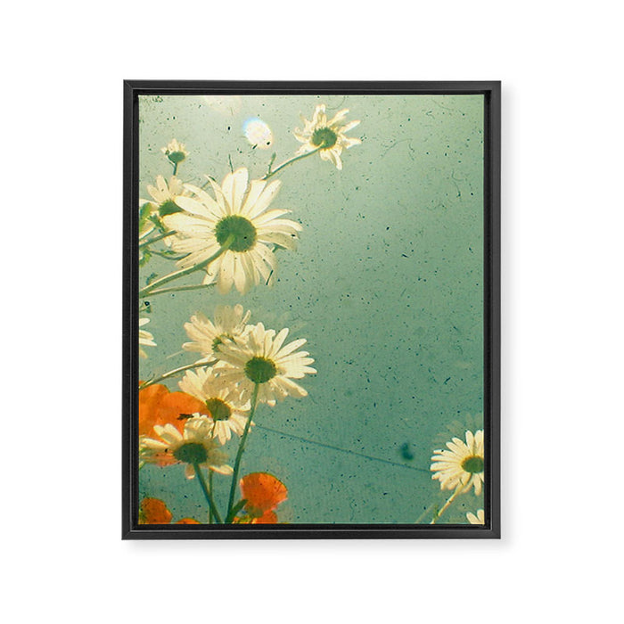 Daisy Framed Canvas Print Gallery Image 1