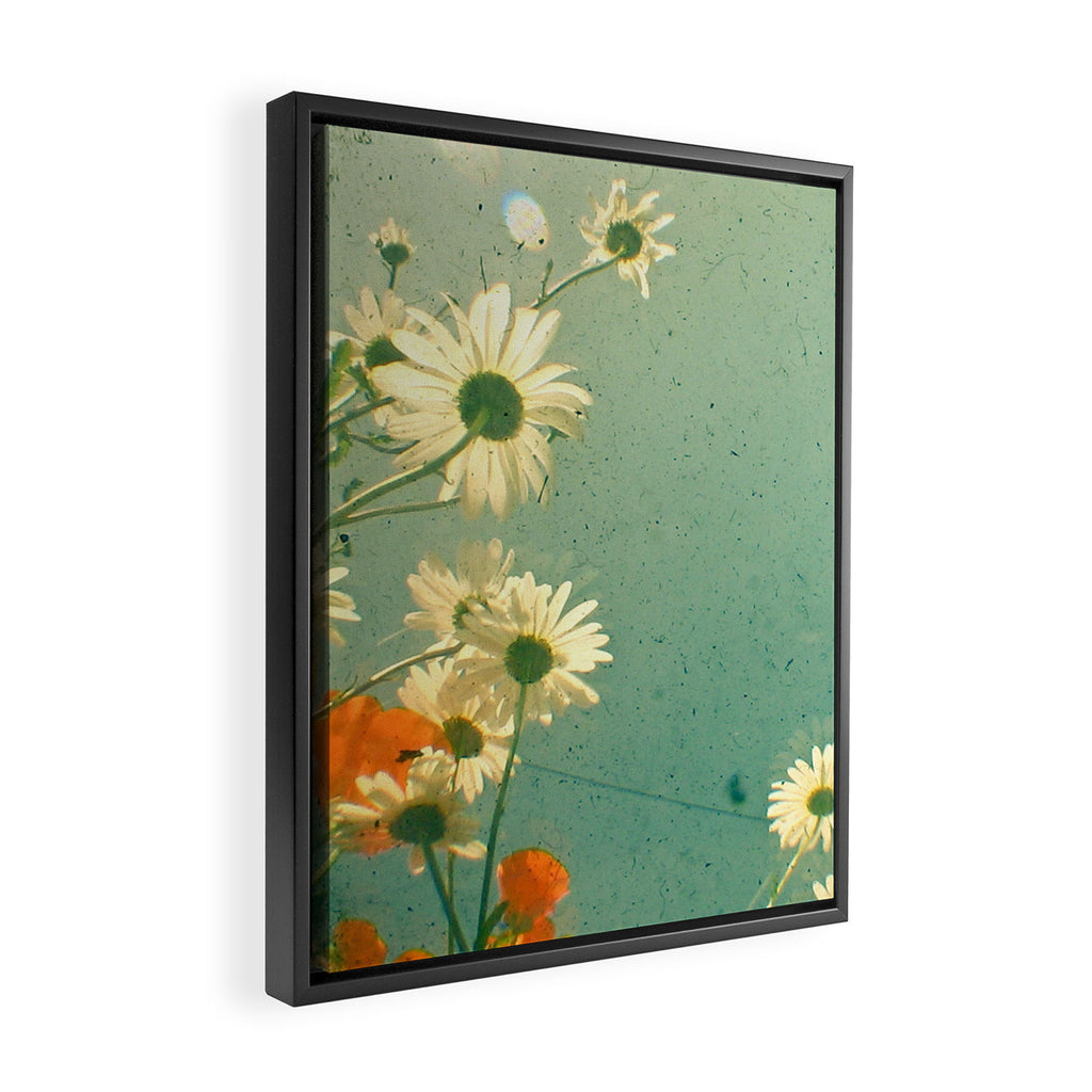 Daisy Framed Canvas Print Gallery Image 2