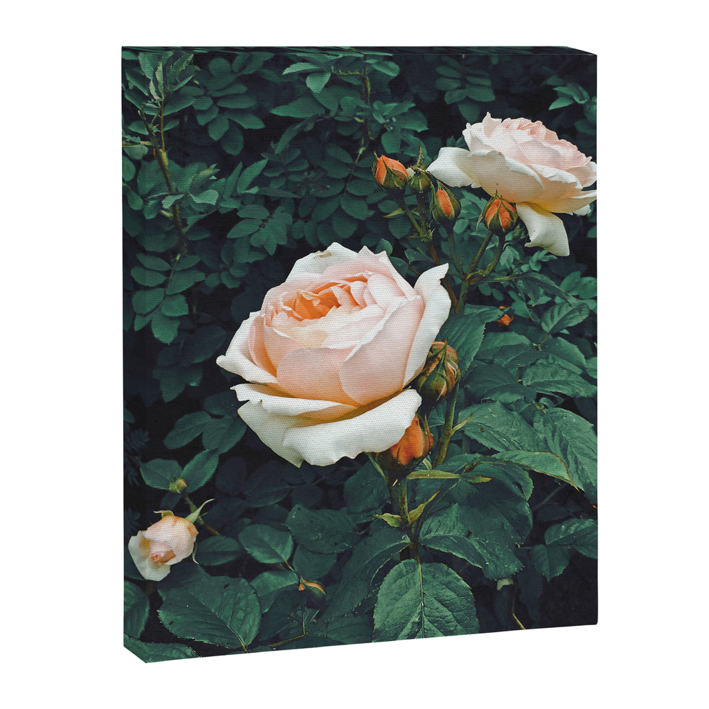 Dark Garden Canvas Print Gallery Image 8