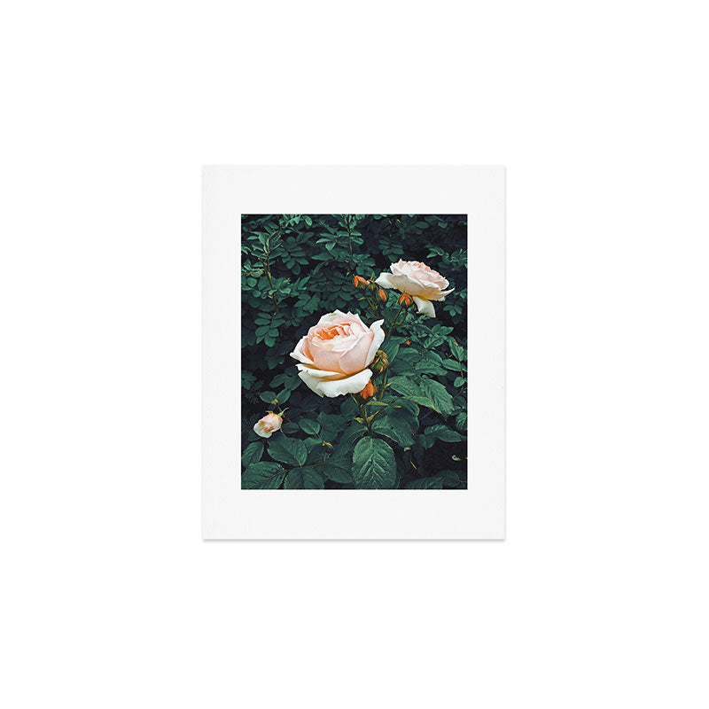Dark Garden Art Print Gallery Image 1