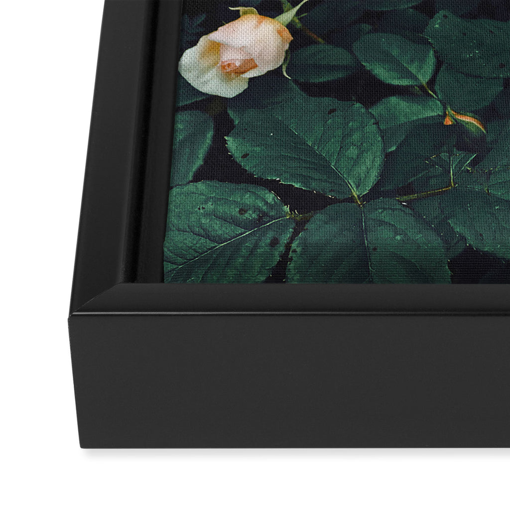 Dark Garden Framed Canvas Print Gallery Image 3