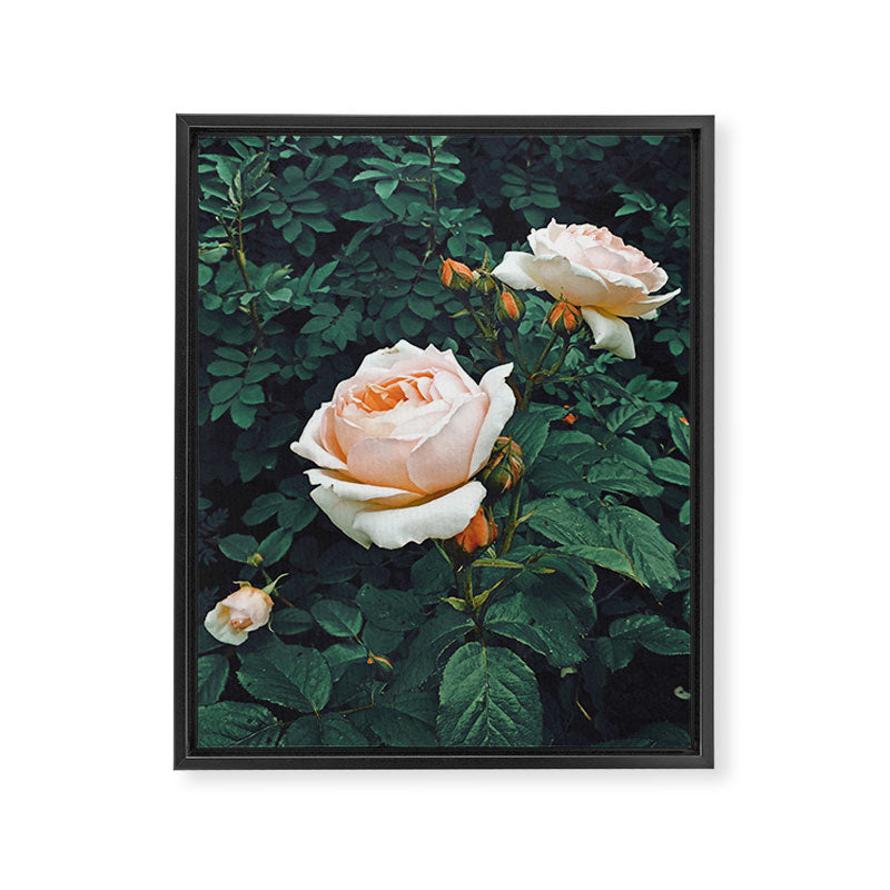 Dark Garden Framed Canvas Print Gallery Image 8