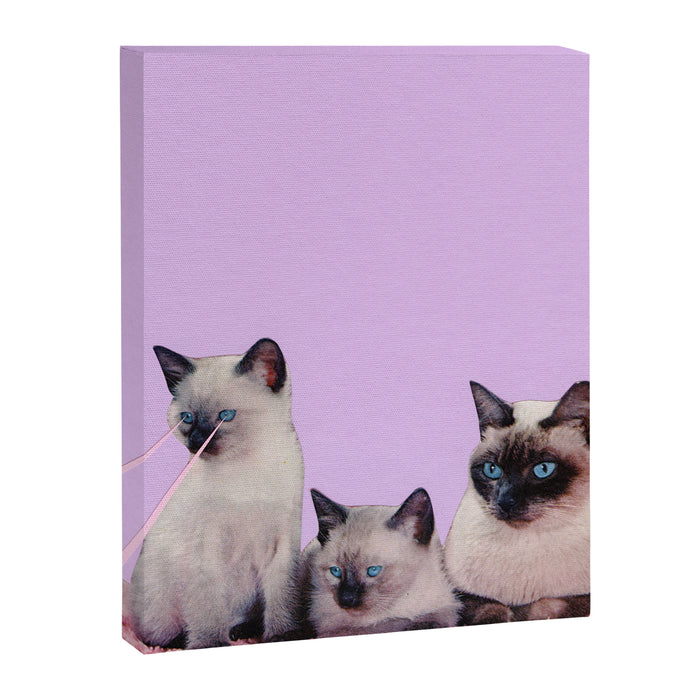 Distracted Canvas Print Gallery Image 1