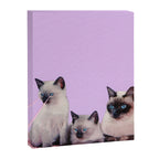 Distracted Canvas Print Gallery Image 6
