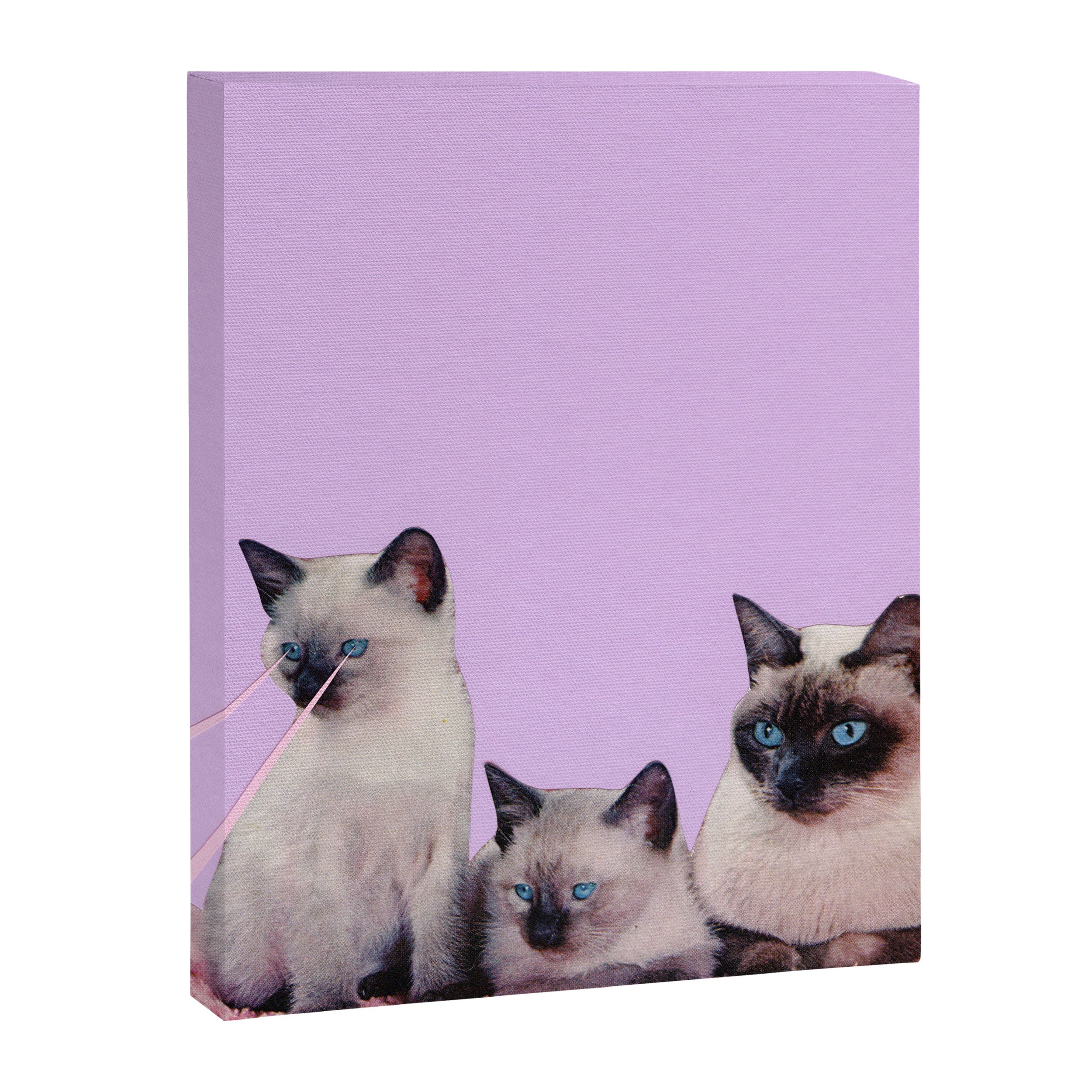 Distracted Canvas Print Gallery Image 6