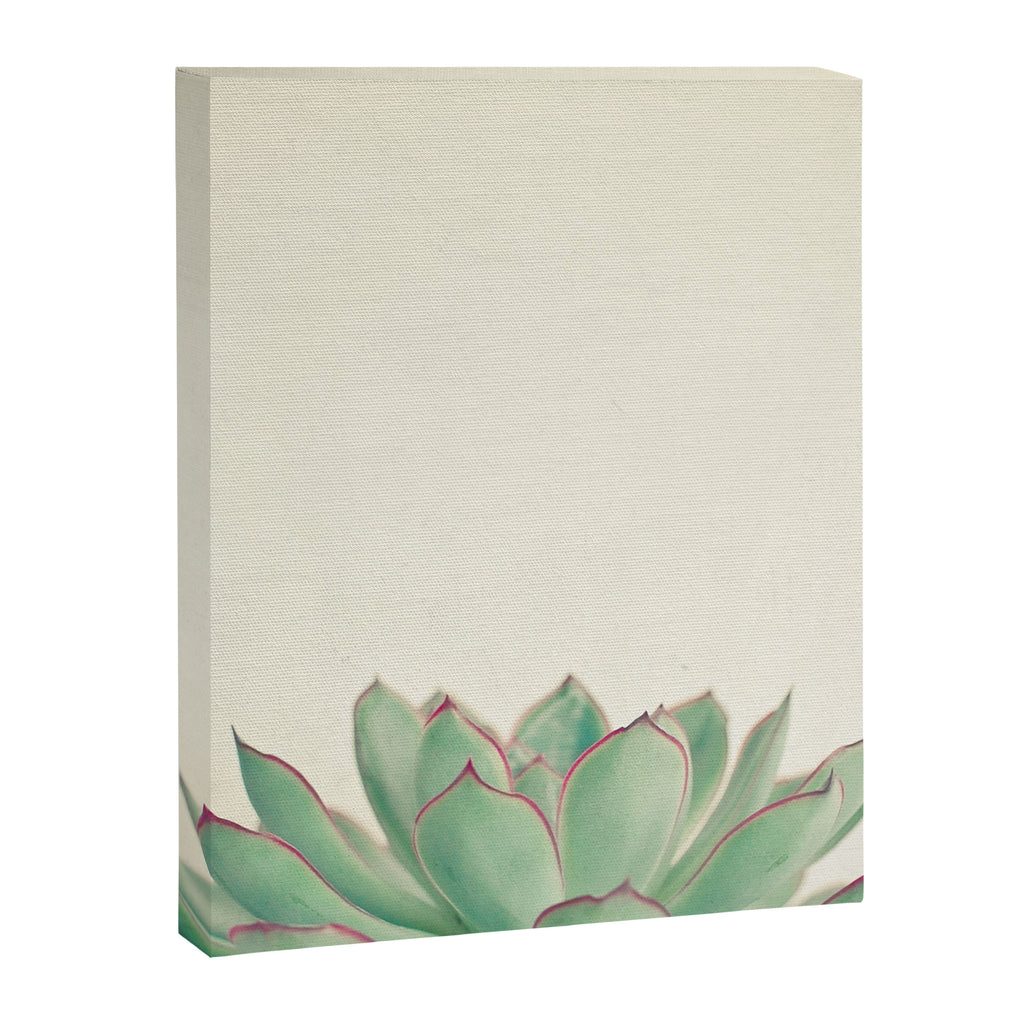 Echeveria Canvas Print Gallery Image 8