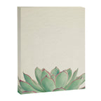 Echeveria Canvas Print Gallery Image 8