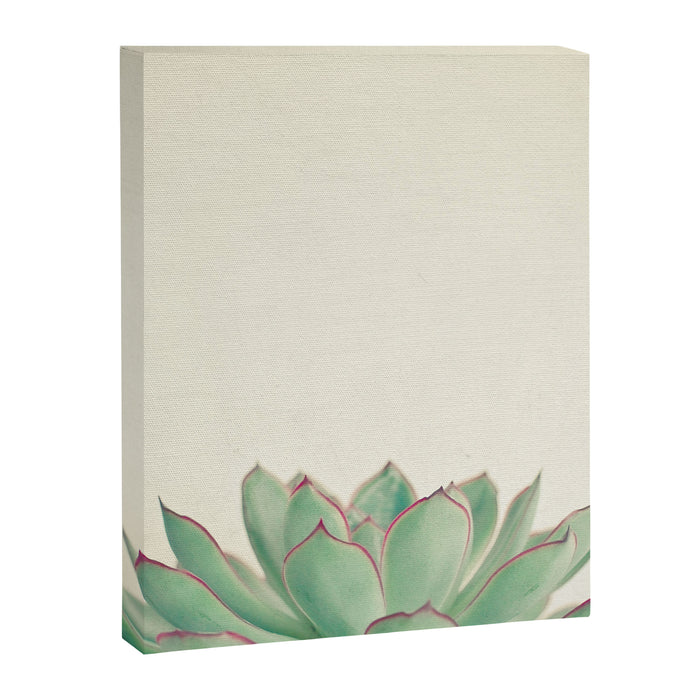 Echeveria Canvas Print Gallery Image 1