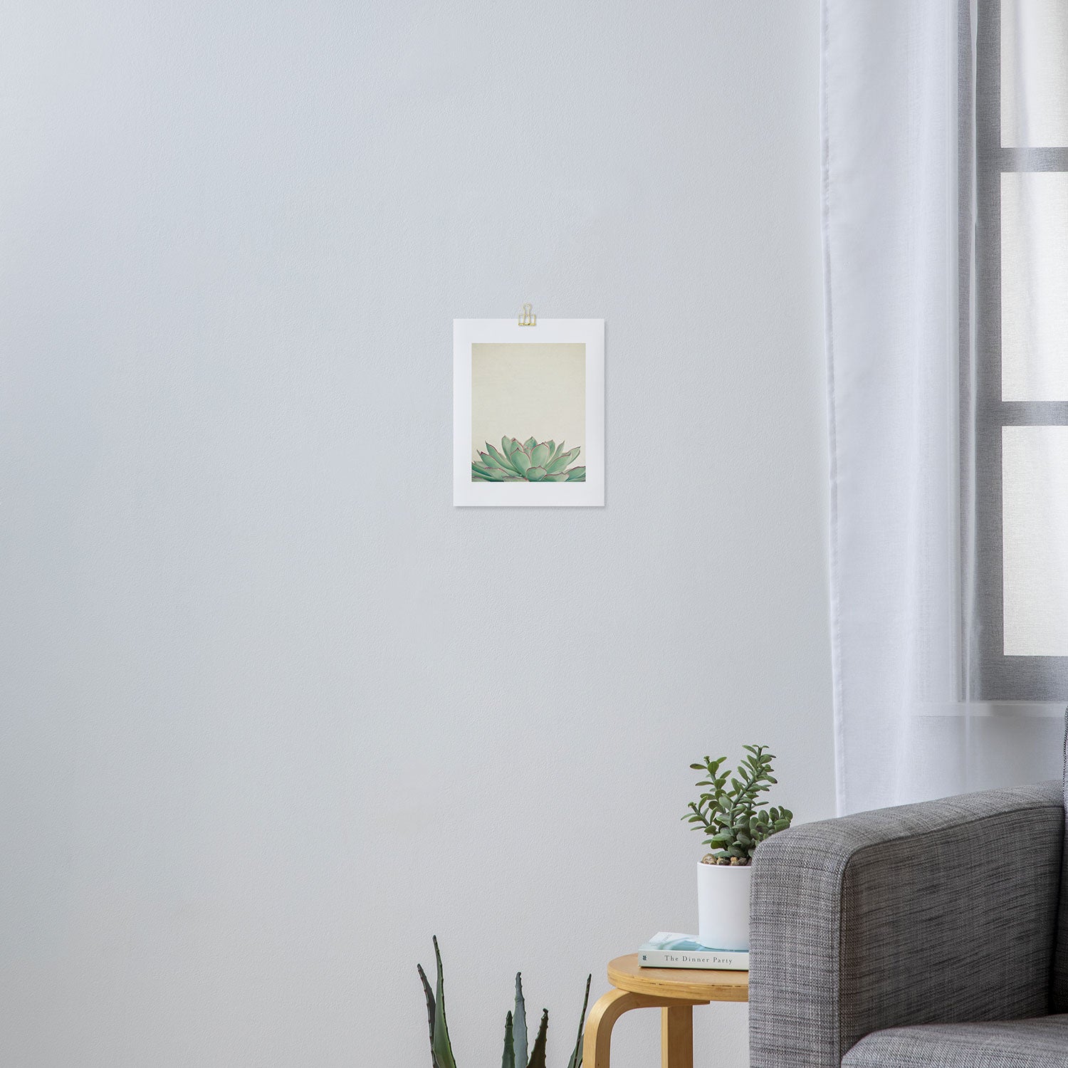 Echeveria Art Print Gallery Image 3