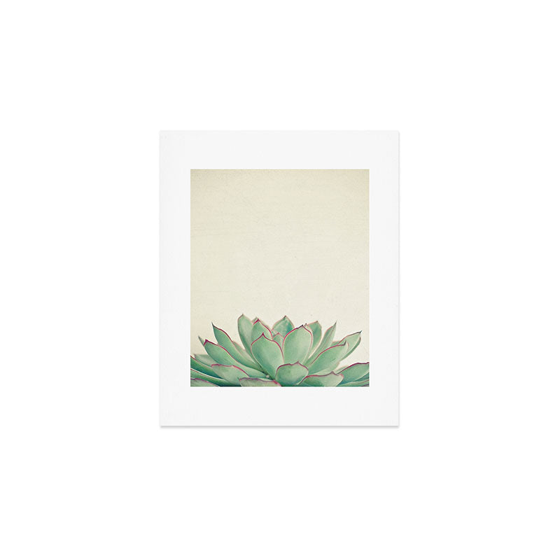 Echeveria Art Print Gallery Image 1