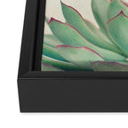 Echeveria Framed Canvas Print Gallery Image 3