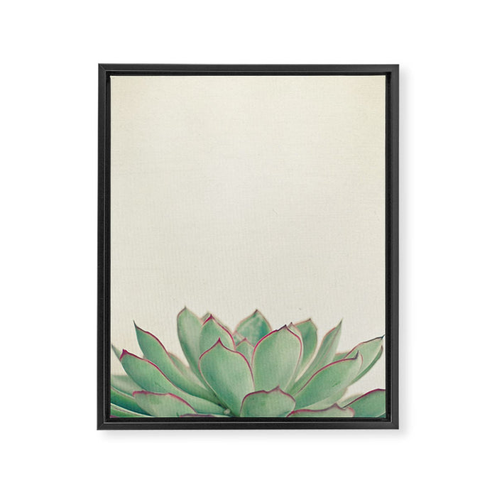 Echeveria Framed Canvas Print Gallery Image 1
