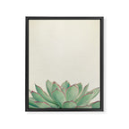 Echeveria Framed Canvas Print Gallery Image 8