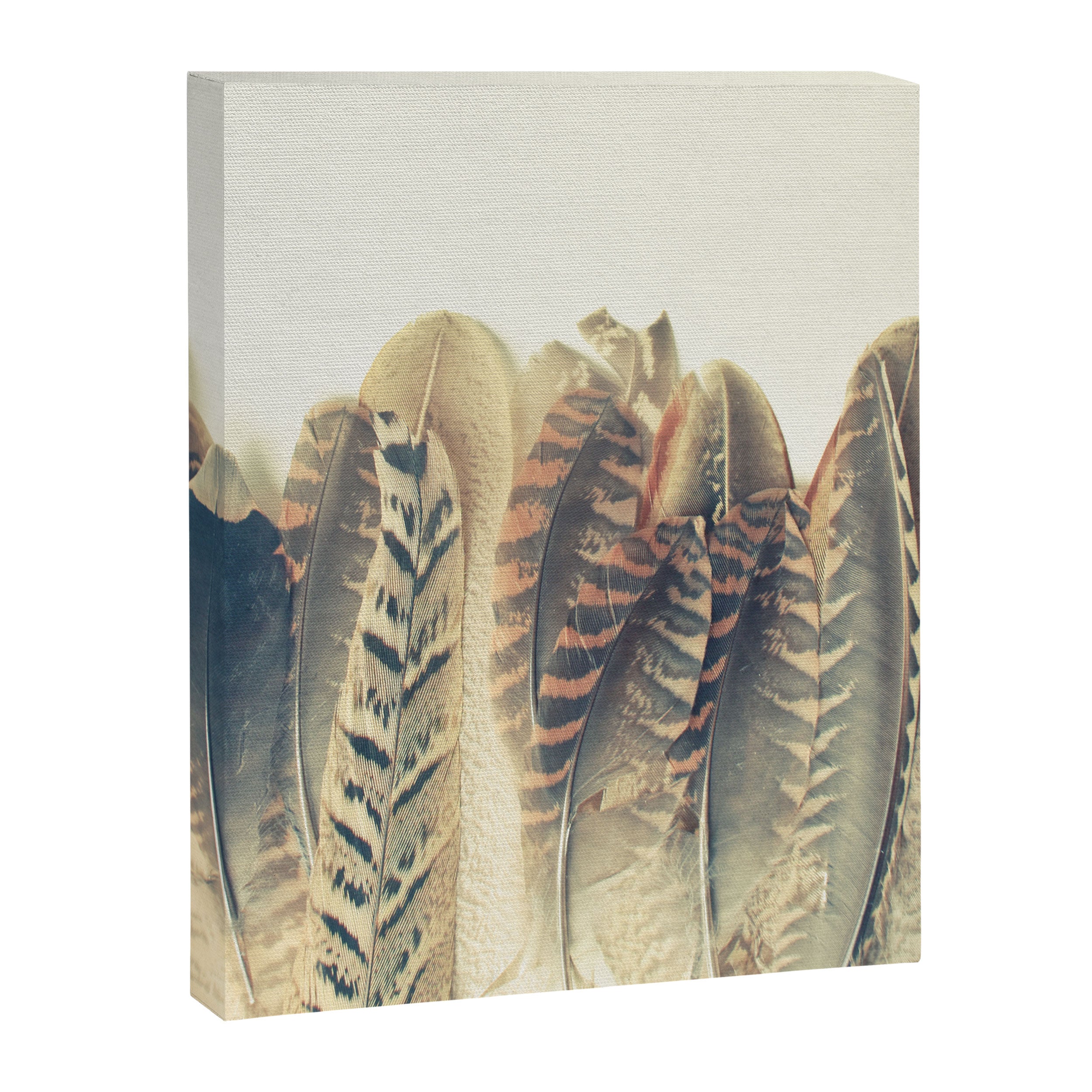 Feather Dip Canvas Print Gallery Image 8