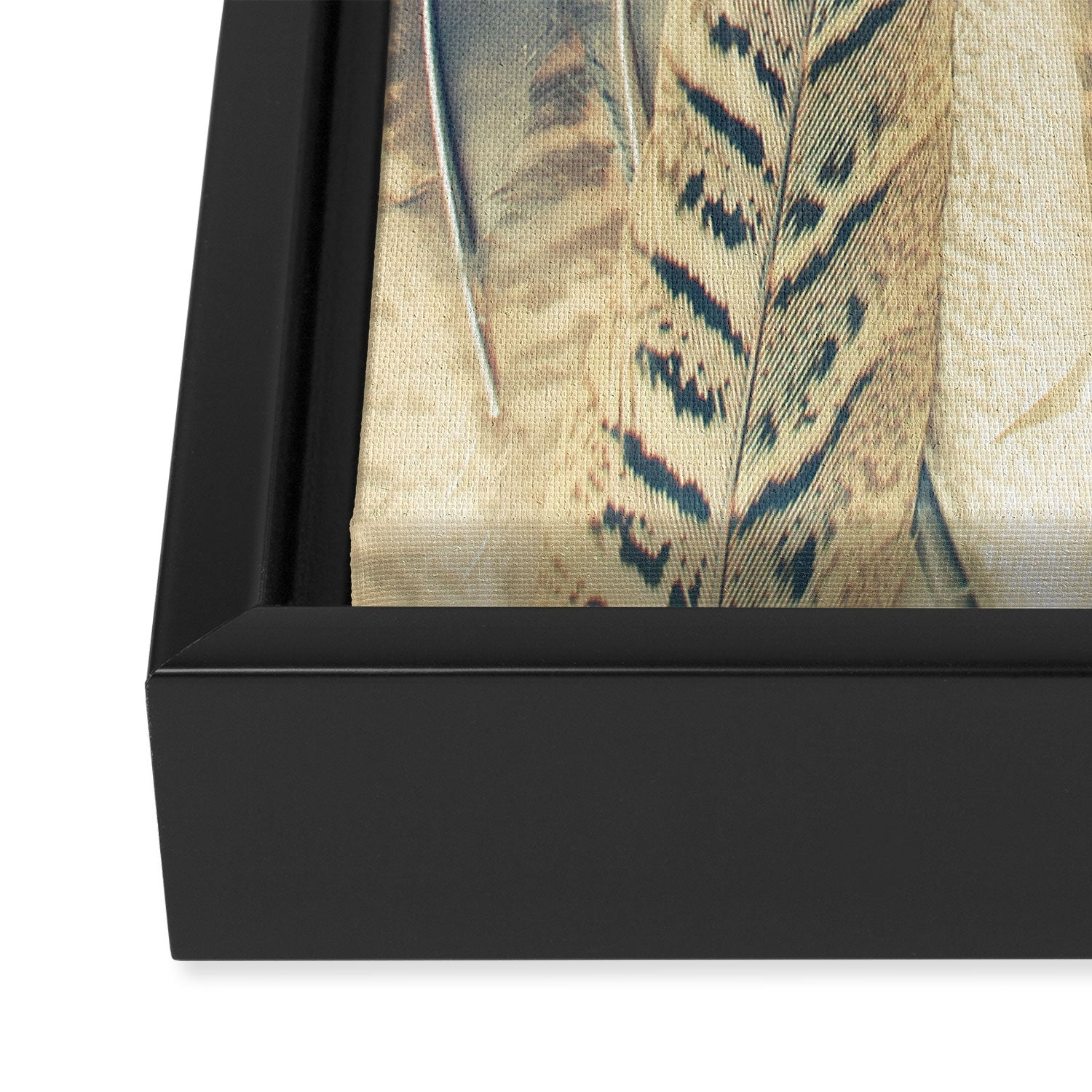 Feather Dip Framed Canvas Print Gallery Image 3