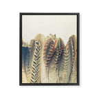 Feather Dip Framed Canvas Print Gallery Image 8