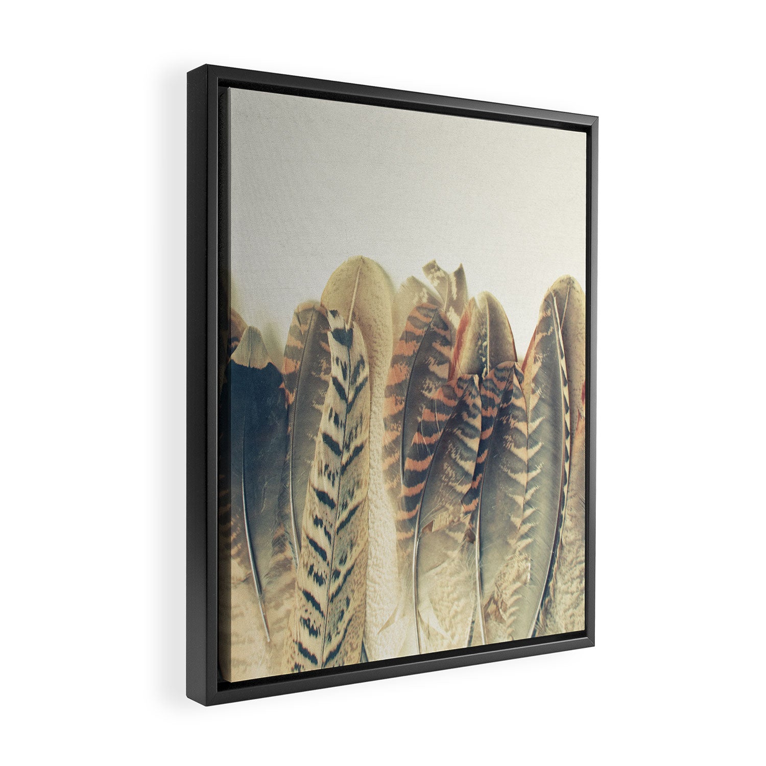 Feather Dip Framed Canvas Print Gallery Image 2