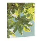 Fig Leaves Canvas Print Gallery Image 8