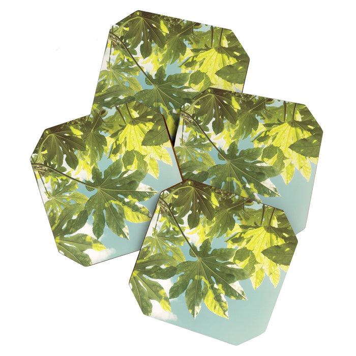 Fig Leaves Coaster Gallery Image 1