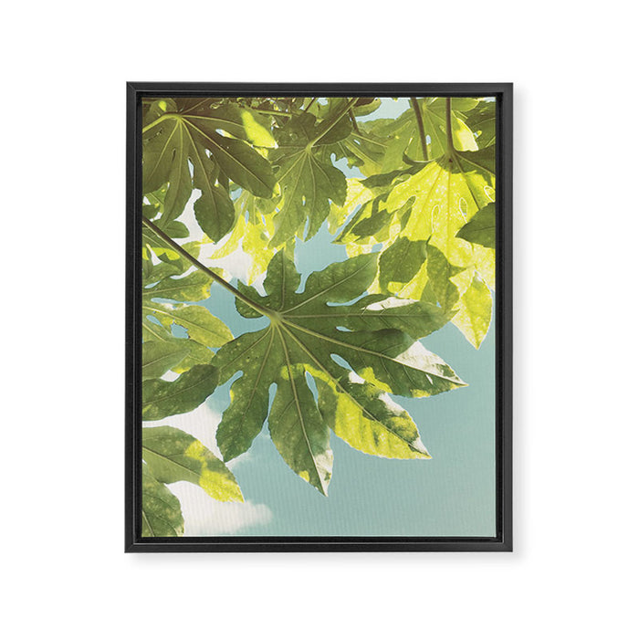 Fig Leaves Framed Canvas Print Gallery Image 1