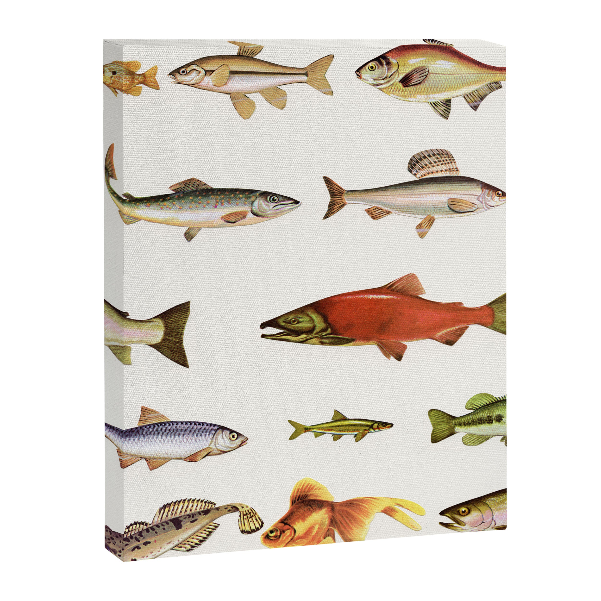 Fishing Line Canvas Print Gallery Image 6
