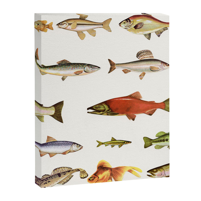 Fishing Line Canvas Print Gallery Image 1