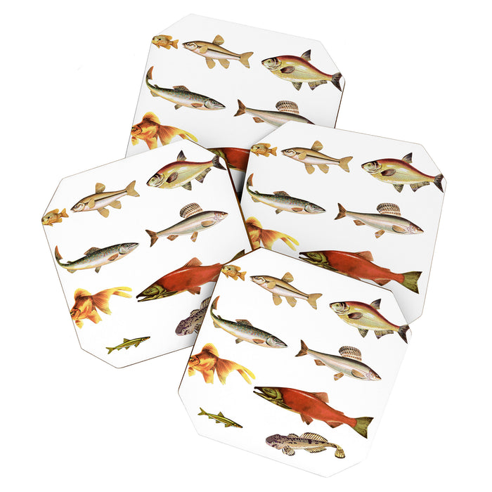 Fishing Line Coaster Gallery Image 1