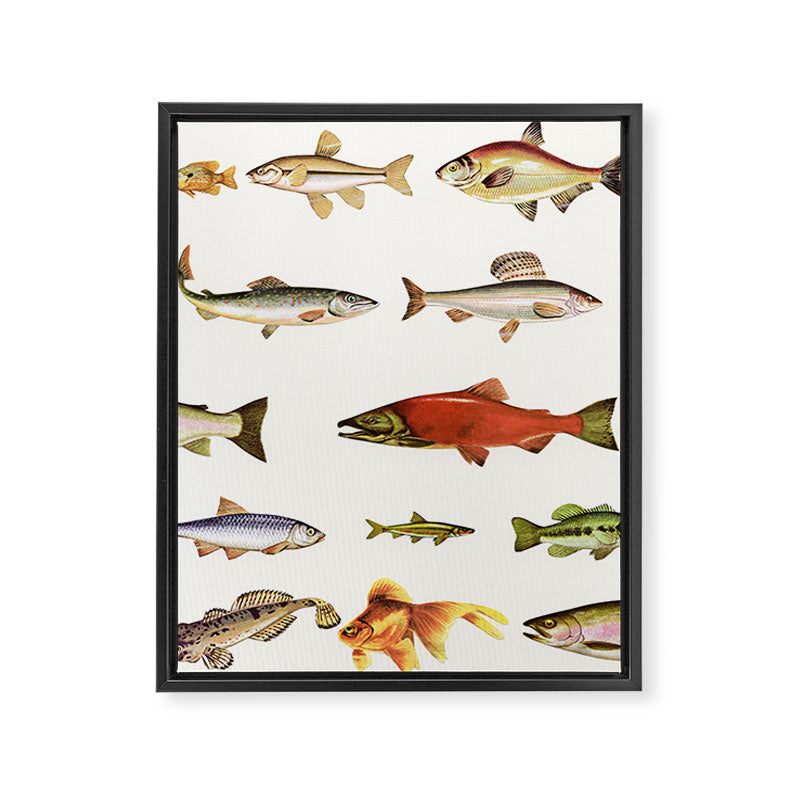 Fishing Line Framed Canvas Print Gallery Image 6