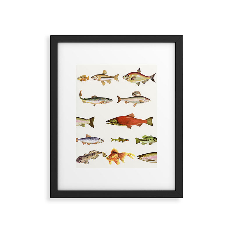 Fishing Line Framed Art Print Gallery Image 5