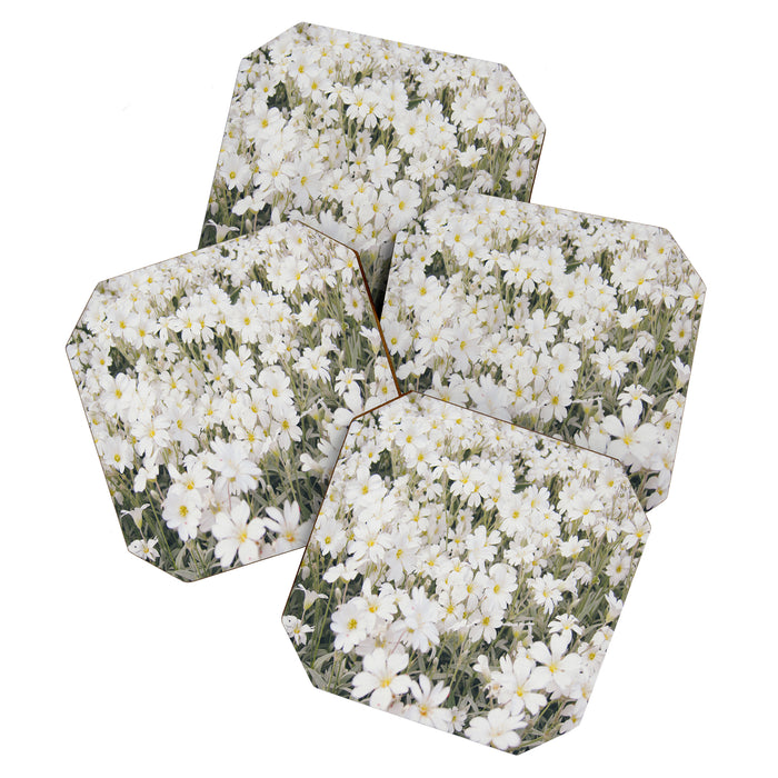Flower Party Coaster Gallery Image 1