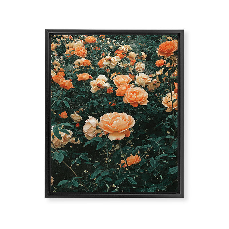Forest of Roses Framed Canvas Print Gallery Image 8