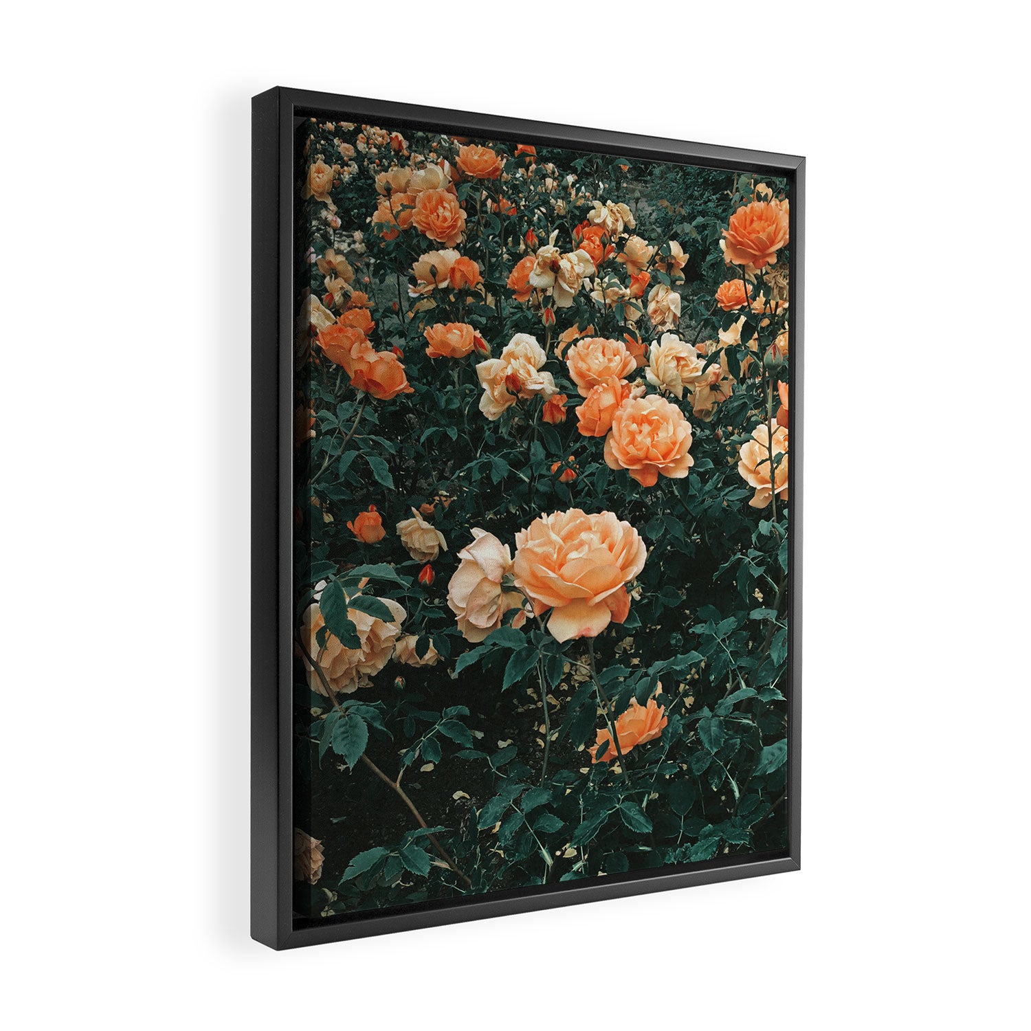Forest of Roses Framed Canvas Print Gallery Image 2