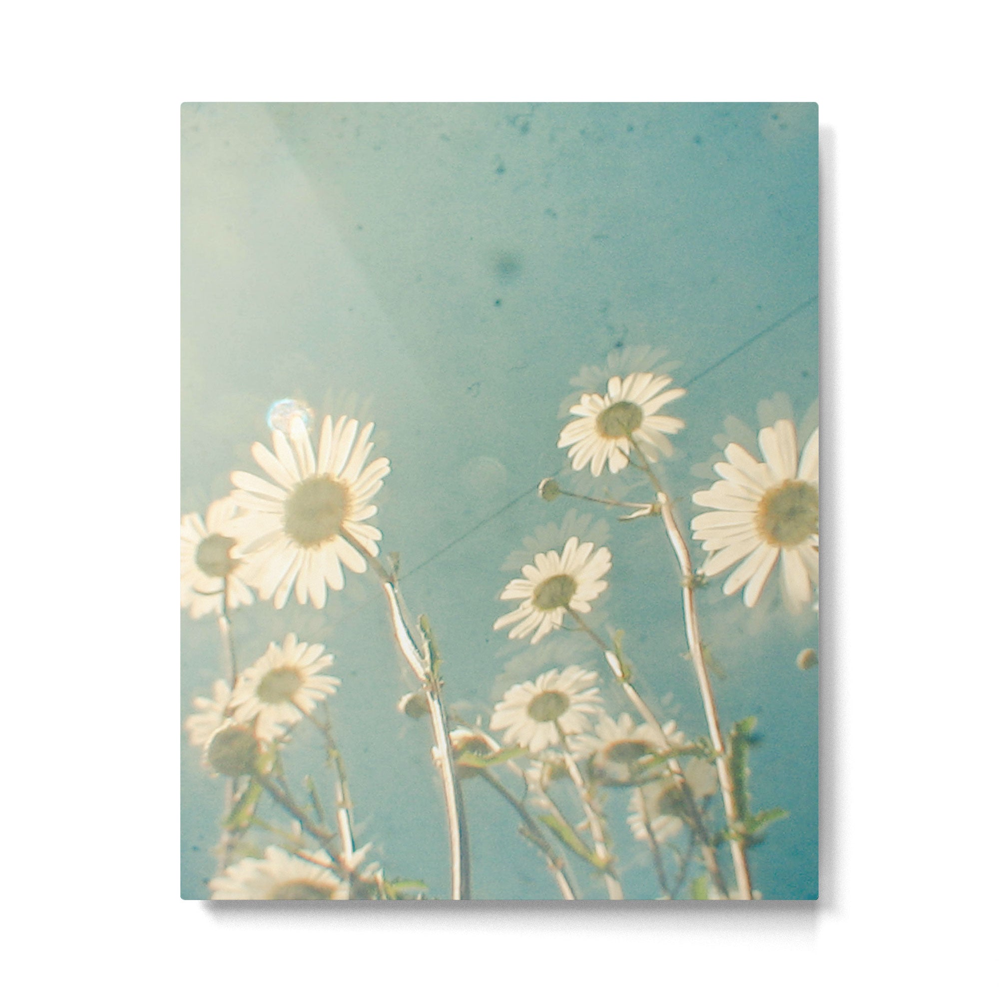 Forever Young Metal Print Gallery Image 6