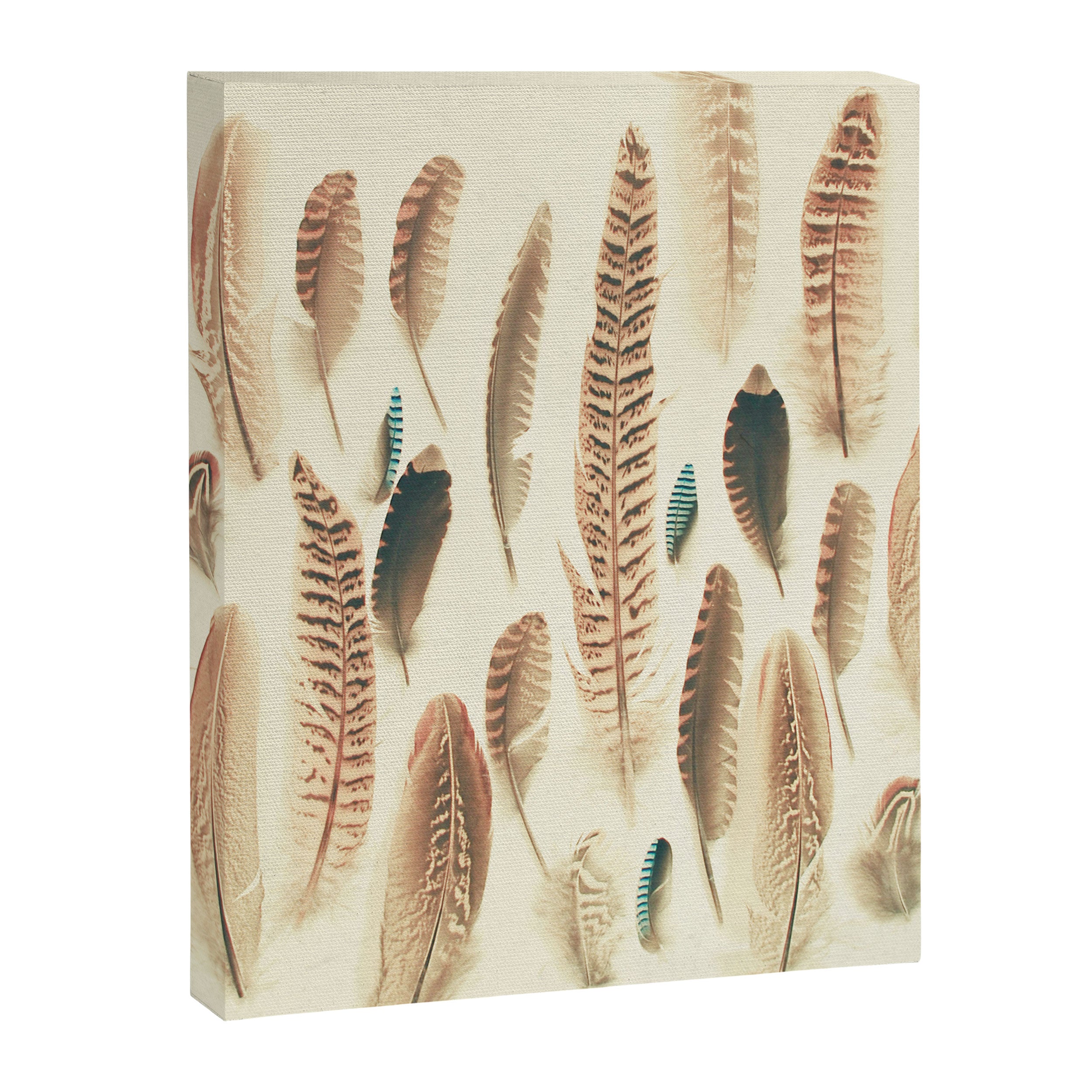Found Feathers Canvas Print Gallery Image 8