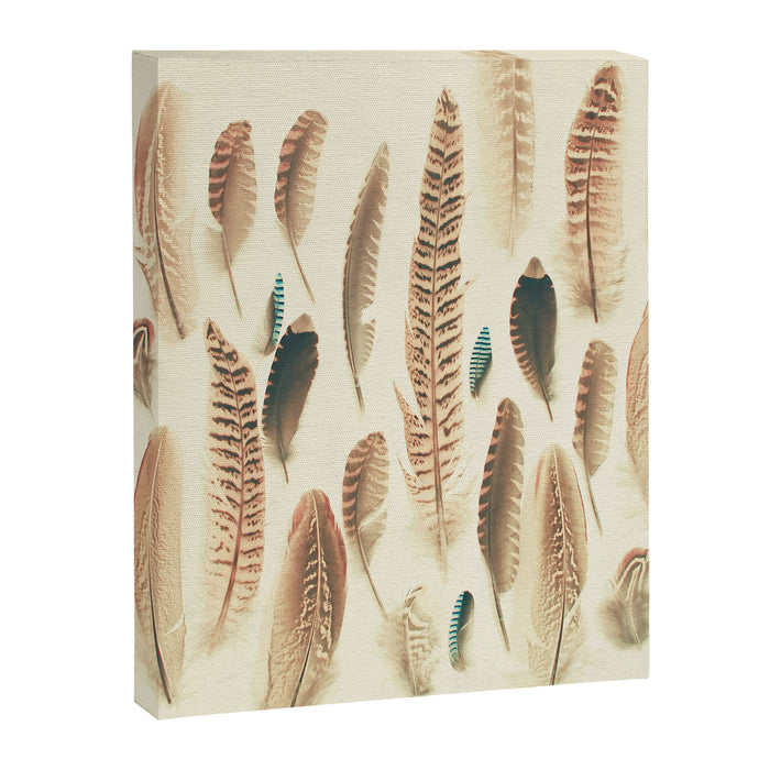 Found Feathers Canvas Print Gallery Image 1