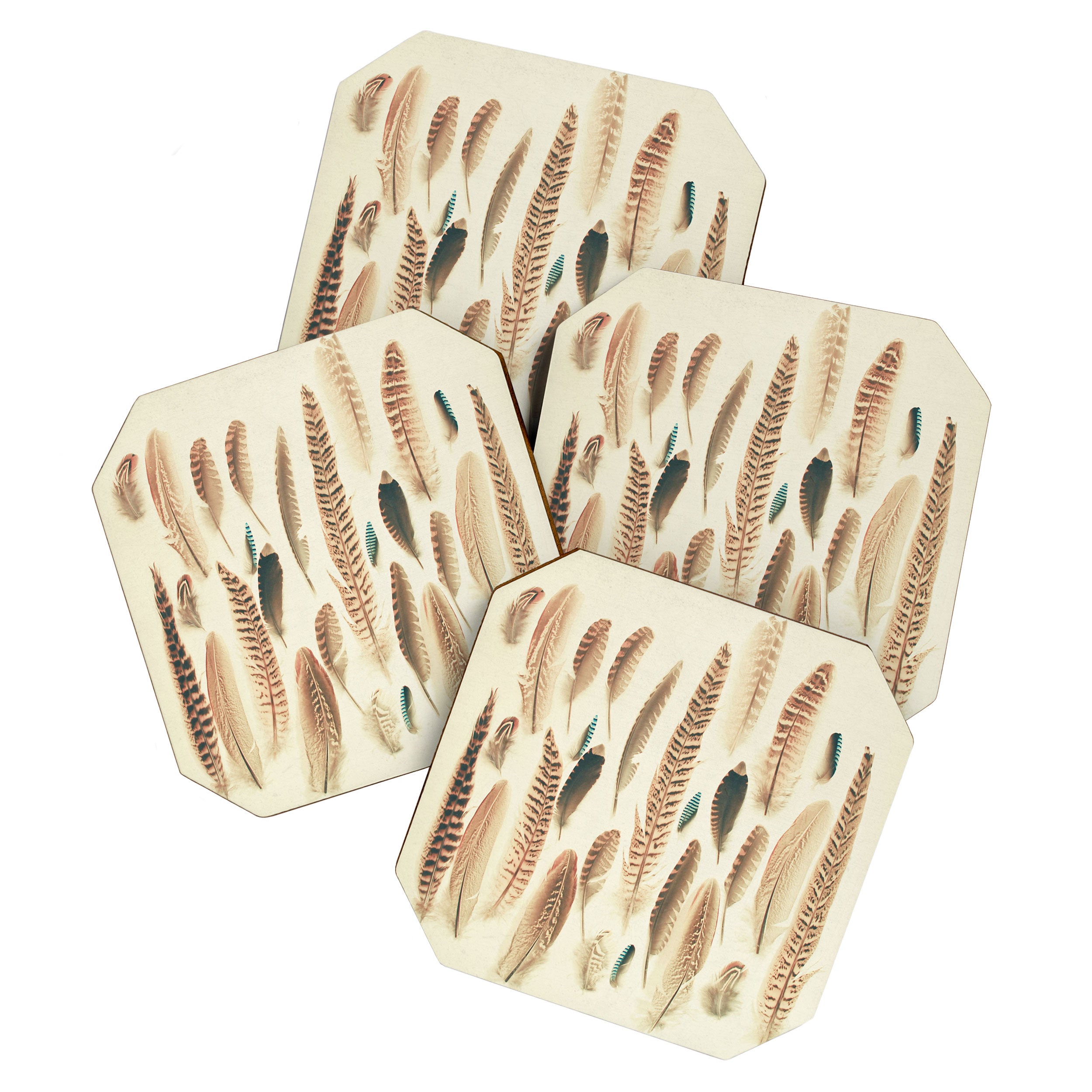 Found Feathers Coaster Gallery Image 1