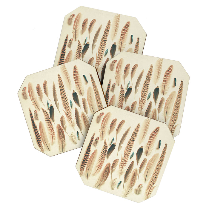Found Feathers Coaster Gallery Image 1