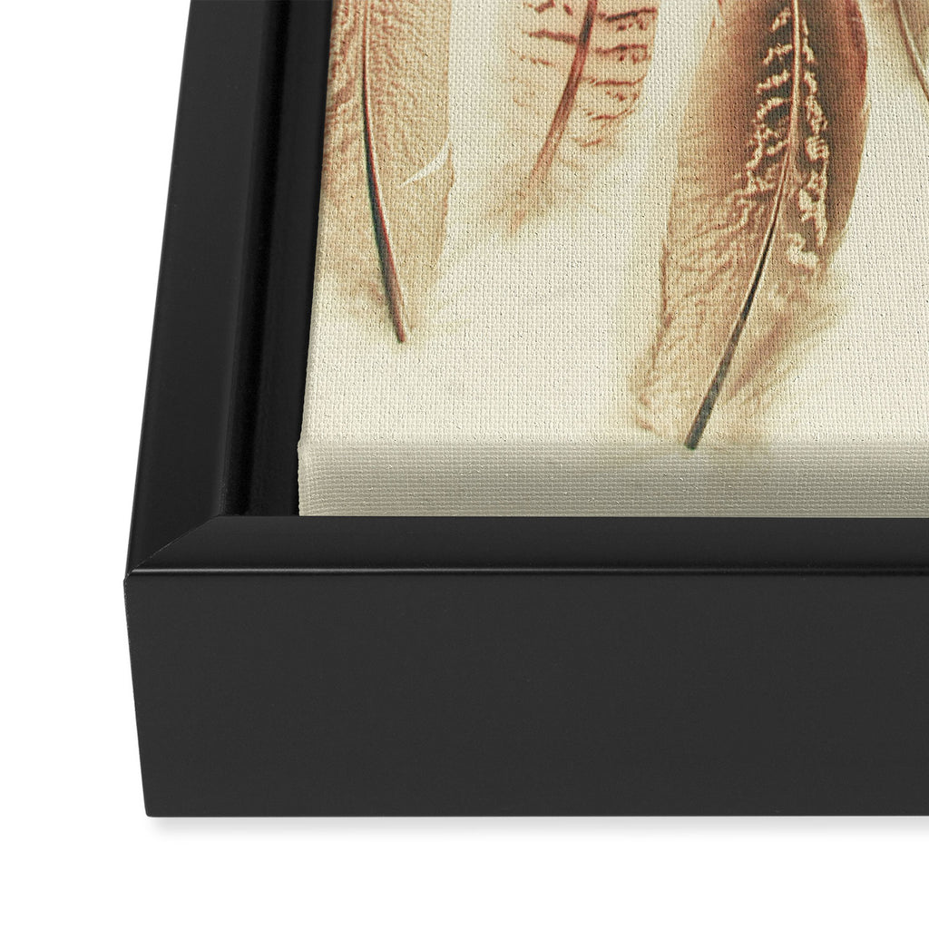 Found Feathers Framed Canvas Print Gallery Image 3