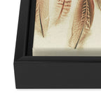 Found Feathers Framed Canvas Print Gallery Image 3