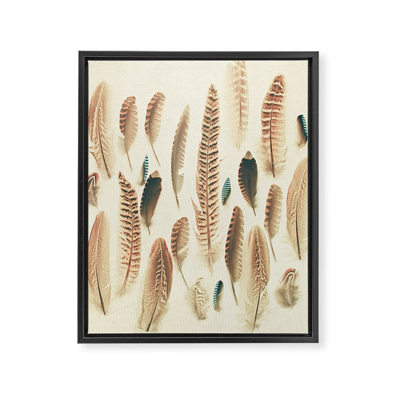 Found Feathers Framed Canvas Print Gallery Image 8