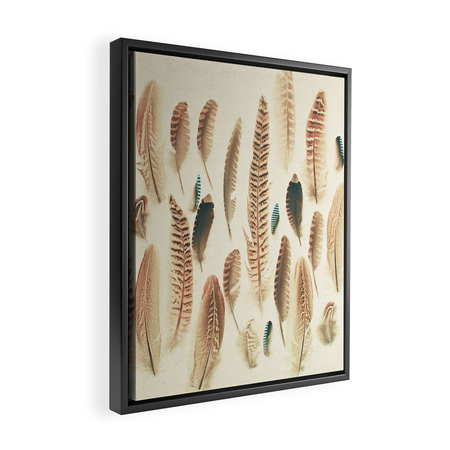 Found Feathers Framed Canvas Print Gallery Image 2