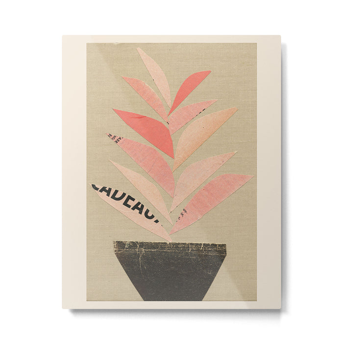 Houseplant Metal Print Gallery Image 1