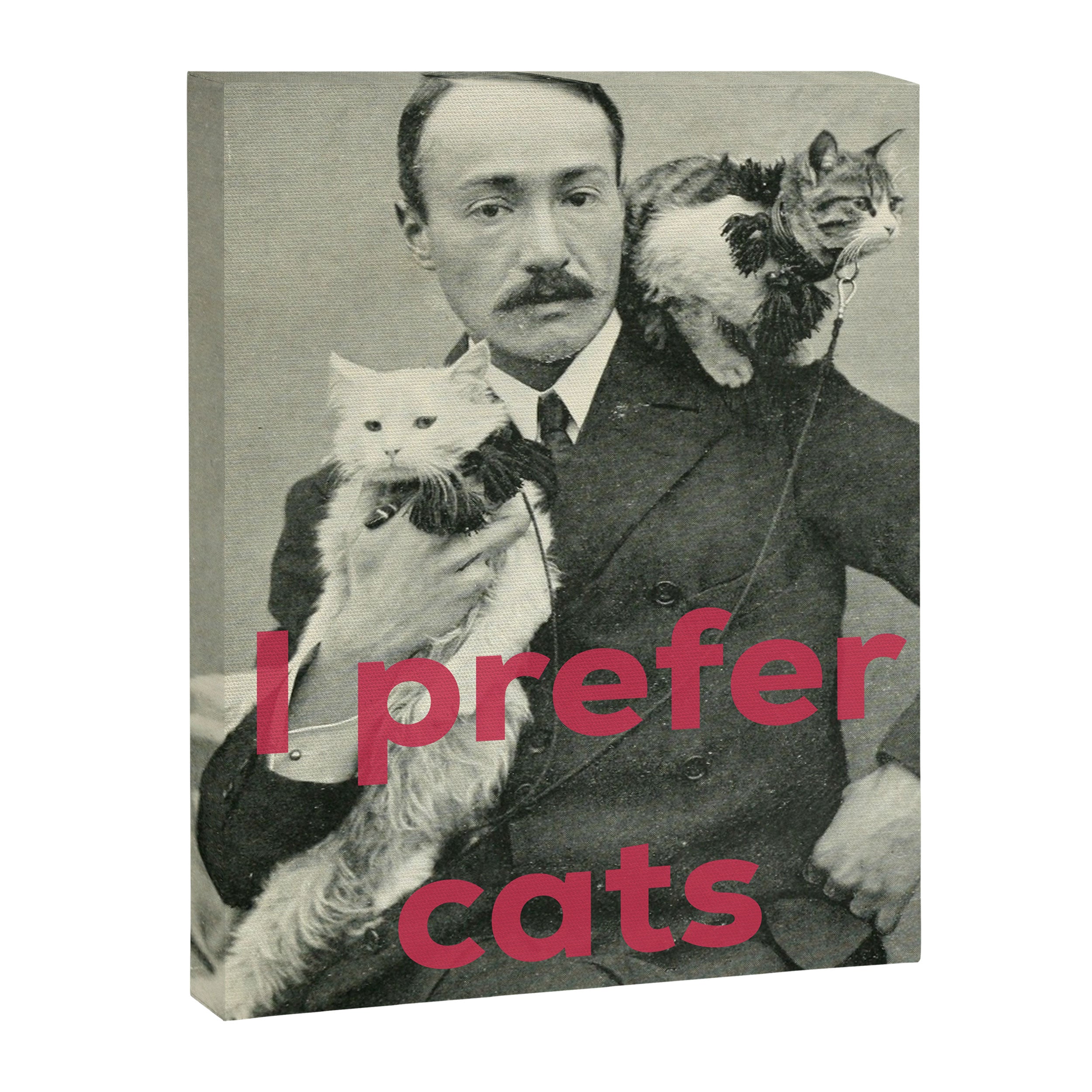 I Prefer Cats Canvas Print Gallery Image 6