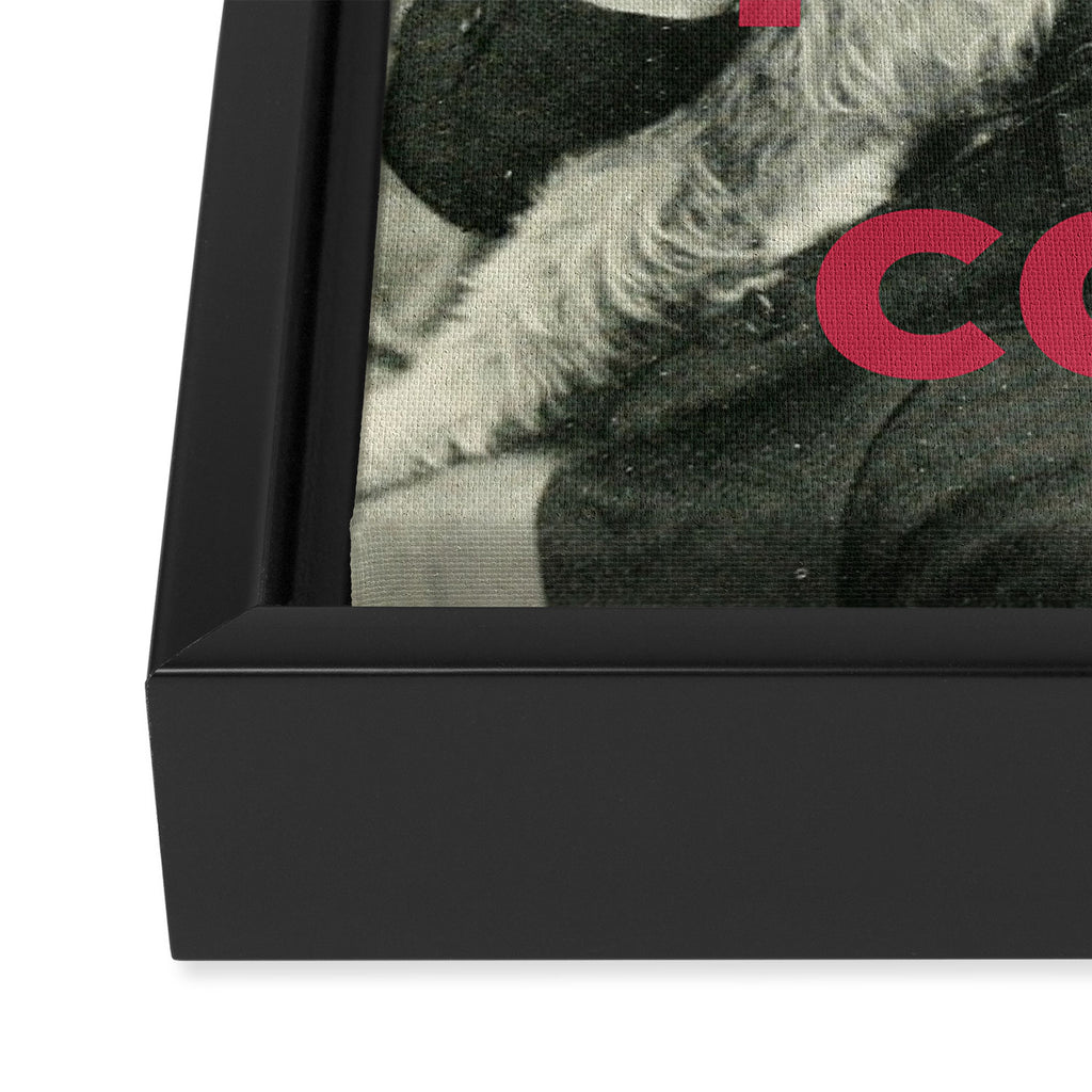 I Prefer Cats Framed Canvas Print Gallery Image 3