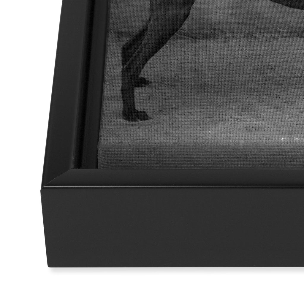 I Prefer Dogs Framed Canvas Print Gallery Image 3