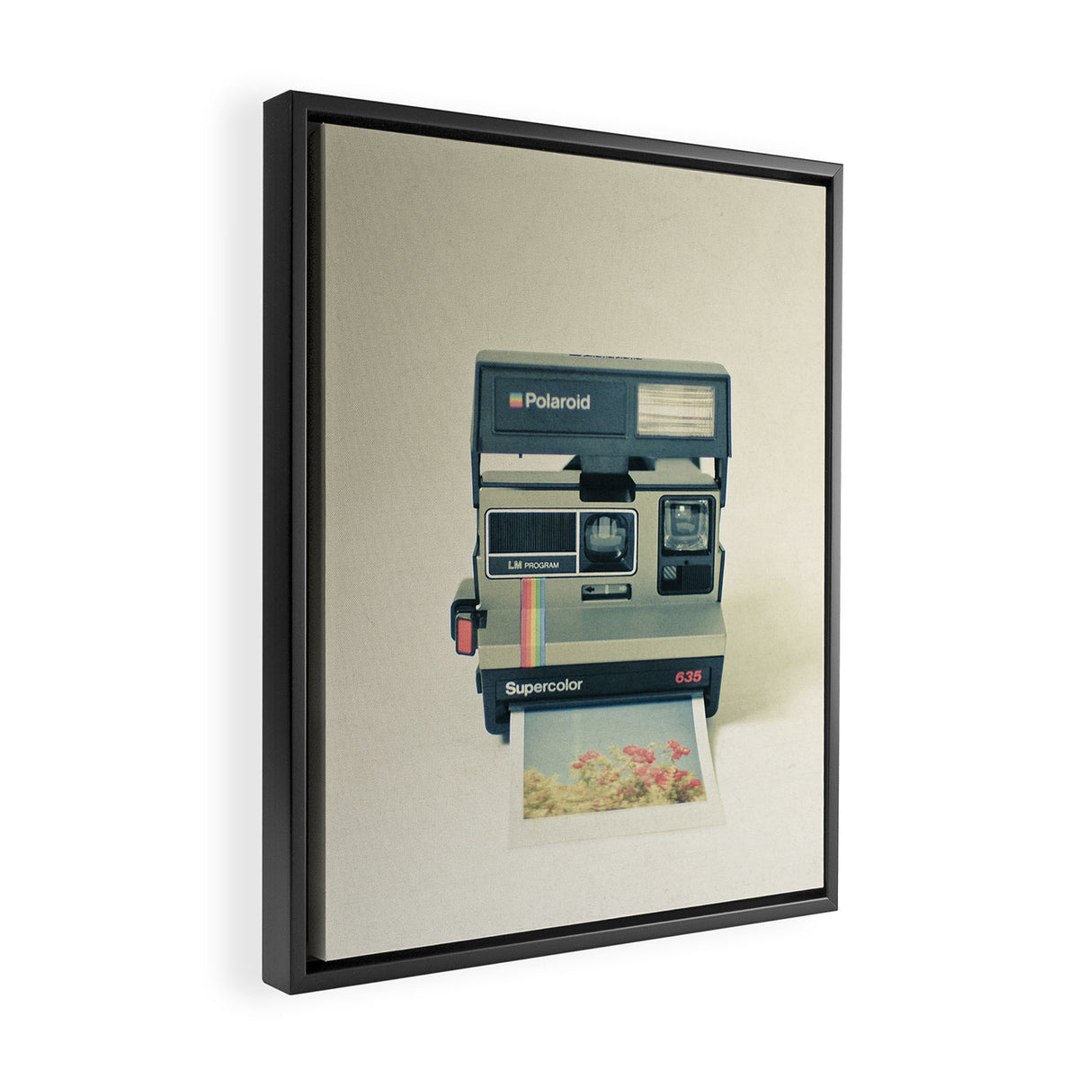 Instant Dreams Framed Canvas Print Gallery Image 2