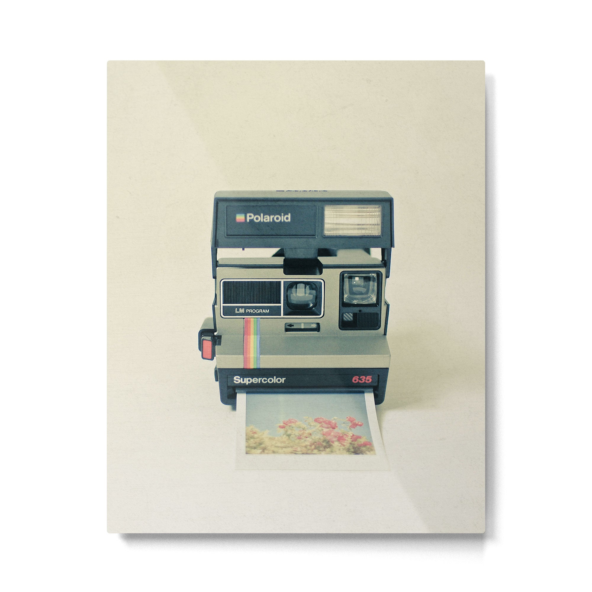Instant Dreams Metal Print Gallery Image 6