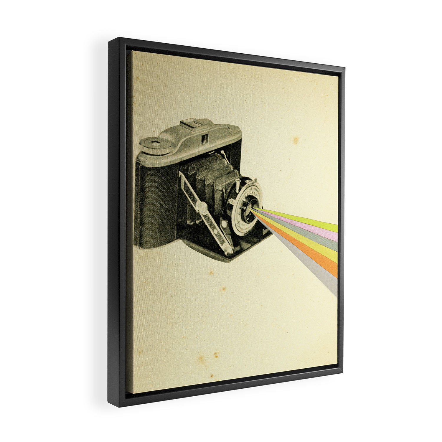 It's a Colourful World Framed Canvas Print Gallery Image 2