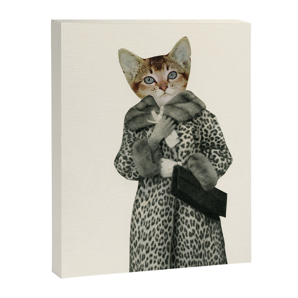 Kitten Dressed as Cat Canvas Print Gallery Image 6